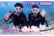 チケット 体験利用券 マリンスポーツ 共通商品券 10,000円分｜ピンクマーリンクラブ シュノーケル ダイビング ライセンス リゾート 沖縄県 恩納村 ふるさと納税 券 人気 おすすめ 送料無料