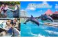 館内利用券100,000円分｜ルネッサンス リゾート オキナワ｜沖縄旅行 沖縄観光 沖縄ホテル 宿泊券 クーポン 旅行券 ホテル