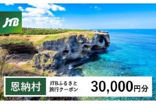 【恩納村】JTBふるさと旅行クーポン（Eメール発行）（3万円分） JTB 宿泊 沖縄 宿泊券 旅行 旅行券 観光 ホテル リゾートホテル クーポン トラベルクーポン トラベル チケット ビーチ 人気 旅行クーポン 恩納村 ファミリー 家族旅行 おすすめ