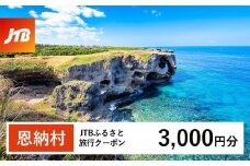【恩納村】JTBふるさと旅行クーポン（Eメール発行）（3千円分） JTB 宿泊 沖縄 宿泊券 旅行 旅行券 観光 ホテル リゾートホテル クーポン トラベルクーポン トラベル チケット ビーチ 人気 旅行クーポン 恩納村 ファミリー 家族旅行 おすすめ