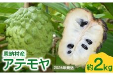 【2026年発送】恩納村産アテモヤ 約2kg 