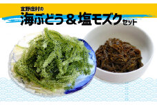 宜野座村の海ぶどう＆塩モズクセット