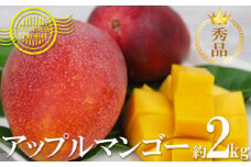 【2025年発送】マンゴーの拠点産地「宜野座村」の秀品アップルマンゴー（約2kg） アーウィン 果物 甘い 夏 濃厚 ギフト Mango ランキング 完熟 お気に入り 美味しい 人気 おすすめ 地元 沖縄県 先行予約 南国フルーツ デザート 産地直送 送料無料