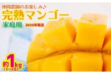 【2026年発送】仲間農園のお楽しみ（家庭用）完熟マンゴー約1kg（2～4玉） アーウィン 果物 甘い 夏 濃厚 ギフト Mango ランキング 完熟 お気に入り 収穫 人気 甘味 フルーツ 沖縄県 先行予約 食品 デザート 産地直送 送料無料