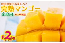 【2026年発送】仲間農園のお楽しみ（家庭用）完熟マンゴー約2kg（4～7玉） アーウィン 果物 甘い 夏 濃厚 ギフト Mango ランキング 完熟 お気に入り 収穫 人気 甘味 フルーツ 沖縄県 先行予約 食品 デザート 産地直送 送料無料