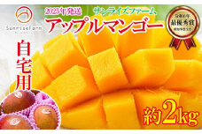 【2025年発送】サンライズファームのご自宅用マンゴー約2kg(4～6玉)自宅用 アーウィン 果物 甘い 夏 濃厚 ギフト Mango ランキング 完熟 お気に入り 収穫 人気 甘味 フルーツ 沖縄県 国産 食品 デザート 産地直送 送料無料