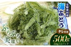 【2026年発送】宜野座村の海ぶどう（100g×5パック） うみぶどう ウミブドウ ぷちぷち プチプチ グリーンキャビア クビレズタ シーグレープ はじける 弾ける 食感 爽やか 磯の香り 海藻 新鮮 酢の物 サラダ トッピング 海鮮丼 沖縄 宜野座村