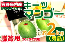 【2025年発送】贈答用　宜野座村産キーツマンゴー「マンゴーの丘」秀品　約2kg フルーツ 甘い 美味しい 特徴 香り お取り寄せ Mango デザート 大きい 希少 贈り物 ビタミン おすすめ 贅沢 栄養価 国産 沖縄県 人気 産地直送 送料無料