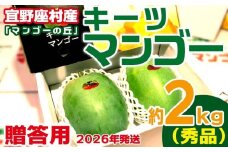 【2026年発送】贈答用　宜野座村産キーツマンゴー「マンゴーの丘」秀品　約2kg フルーツ 甘い 美味しい 特徴 香り お取り寄せ Mango デザート 大きい 希少 贈り物 ビタミン おすすめ 贅沢 栄養価 国産 沖縄県 人気 産地直送 送料無料