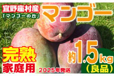 【2025年発送】家庭用　宜野座村産完熟マンゴー「マンゴーの丘」約1.5kg（良品） アーウィン 果物 甘い 夏 濃厚 ギフト Mango ランキング 完熟 お気に入り 収穫 人気 甘味 フルーツ 沖縄県 国産 食品 デザート 産地直送 送料無料