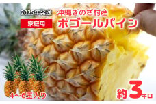 【2025年発送】仲間農園の宜野座村産完熟ボゴールパイン約3kg（小玉4～6個） 甘い 果物 熱帯 ジュース パインアップル 沖縄 国産 好き お祝い ギフト トロピカルフルーツ パイナップル スナックパイン 送料無料 デザート 人気 甘味 送料無料 パイナップル スナックパイン