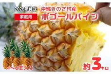 【2026年発送】仲間農園の宜野座村産完熟ボゴールパイン約3kg（小玉4～6個） 甘い 果物 熱帯 ジュース パインアップル 沖縄 国産 好き お祝い ギフト トロピカルフルーツ パイナップル スナック 送料無料 デザート 人気 甘味 送料無料 パイナップル 宜野座村
