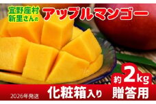 【2026年発送】宜野座村の新里守清さんのアップルマンゴー贈答用（約2kg） アーウィン マンゴー 甘い 夏 濃厚 お取り寄せ 贈り物 ランキング 完熟 お気に入り 美味しい 人気 おすすめ フルーツ 沖縄県 南国 産地直送 デザート 果物 宜野座村