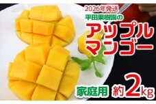 【2026年発送】平田果樹園のアップルマンゴー家庭用（約2kg） アーウィン 果物 甘い 夏 濃厚 ギフト Mango ランキング 完熟 お気に入り 美味しい 人気 おすすめ フルーツ 沖縄県 先行予約 食品 人気 産地直送 送料無料