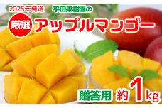 【2025年発送】平田果樹園の厳選アップルマンゴー贈答用（約1kg） アーウィン 果物 甘い 夏 濃厚 ギフト Mango ランキング 完熟 お気に入り 美味しい 人気 おすすめ フルーツ 沖縄県 先行予約 食品 デザート 産地直送 送料無料