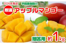 【2026年発送】平田果樹園の厳選アップルマンゴー贈答用（約1kg） アーウィン 果物 甘い 夏 濃厚 ギフト Mango ランキング 完熟 お気に入り 美味しい 人気 おすすめ フルーツ 沖縄県 先行予約 食品 デザート 産地直送 送料無料