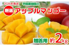 【2026年発送】平田果樹園の厳選アップルマンゴー贈答用（約2kg） アーウィン 果物 甘い 夏 濃厚 ギフト Mango ランキング 完熟 お気に入り 美味しい 人気 おすすめ フルーツ 沖縄県 先行予約 食品 デザート 産地直送 送料無料
