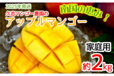 【2025年発送】久志マンゴー農園のアップルマンゴー家庭用（約2kg） アーウィン 果物 甘い 夏 濃厚 ギフト Mango ランキング 完熟 お気に入り 美味しい 人気 おすすめ フルーツ 沖縄県 先行予約 食品 デザート 産地直送 送料無料