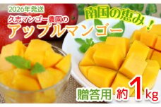 【2026年発送】南国の恵み！久志マンゴー農園のアップルマンゴー贈答用（約1kg） アーウィン 果物 甘い 夏 濃厚 ギフト Mango ランキング 完熟 お気に入り 美味しい 人気 おすすめ フルーツ 沖縄県 先行予約 食品 デザート 産地直送 送料無料