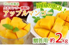 【2026年発送】南国の恵み！久志マンゴー農園のアップルマンゴー贈答用（約2kg） アーウィン 果物 甘い 夏 濃厚 ギフト Mango ランキング 完熟 お気に入り 美味しい 人気 甘味 フルーツ 沖縄県 先行予約 食品 デザート 産地直送 送料無料