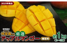 【2025年発送】宜野座村　仲栄真さん厳選アップルマンゴー贈答用（約1kg） アーウィン 果物 甘い 夏 濃厚 お取り寄せ Mango ランキング 完熟 お気に入り 美味しい 人気 おすすめ フルーツ 沖縄県 先行予約 食品 デザート 産地直送 送料無料