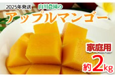 【2025年発送】山川農園のアップルマンゴー家庭用（約2kg） アーウィン 果物 甘い 夏 濃厚 お取り寄せ Mango ランキング 完熟 お気に入り 美味しい 人気 おすすめ フルーツ 沖縄県 南国 食品 デザート 産地直送 送料無料