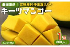 【2026年発送】農園直送！宜野座村　仲栄真さんのキーツマンゴー1玉（800g以上） フルーツ 甘い 美味しい 特徴 香り お取り寄せ Mango ランキング 大きい 希少 贈り物 ビタミン おすすめ 贅沢 栄養価 国産 沖縄県 人気 産地直送 送料無料