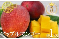 【2026年発送】マンゴーの拠点産地「宜野座村」の秀品アップルマンゴー（約1kg） アーウィン 果物 甘い 夏 濃厚 ギフト Mango ランキング 完熟 お気に入り 美味しい 人気 おすすめ 地元 沖縄県 先行予約 南国フルーツ デザート 産地直送 送料無料