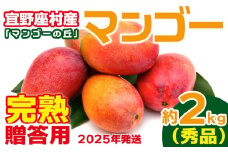 【2025年発送】贈答用　宜野座村産完熟マンゴー「マンゴーの丘」秀品　約2kg アーウィン 果物 甘い 夏 濃厚 ギフト Mango ランキング 完熟 お気に入り 収穫 人気 甘味 フルーツ 沖縄県 国産 食品 デザート 産地直送 送料無料