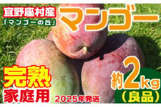 【2025年発送】家庭用　宜野座村産完熟マンゴー「マンゴーの丘」約2kg（良品） アーウィン 果物 甘い 夏 濃厚 ギフト Mango ランキング 完熟 お気に入り 収穫 人気 甘味 フルーツ 沖縄県 国産 食品 デザート 産地直送 送料無料