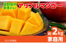 【2025年発送】宜野座村の新里守清さんのアップルマンゴー家庭用（約2kg） アーウィン 果物 甘い 夏 濃厚 ギフト Mango ランキング 完熟 お気に入り 美味しい 人気 おすすめ フルーツ 沖縄県 先行予約 食品 人気 産地直送 送料無料
