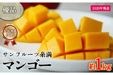 【2025年発送】県知事賞受賞　サンフルーツ糸満　マンゴー優品　約1kg 産地直送 先行予約 フルーツ 果物 くだもの アップルマンゴー アップル アーウィン種 濃厚 デザート 贅沢 旬の果物 甘い おすすめ プレゼント 贈答 冷蔵 国産 沖縄 沖縄県産