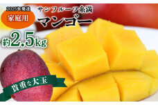 【2025年発送】サンフルーツ糸満マンゴー貴重な大玉 家庭用　約2.5kg 産地直送 先行予約 フルーツ 果物 くだもの アップルマンゴー アップル アーウィン種 濃厚 デザート 贅沢 旬の果物 甘い おすすめ プレゼント 贈答 冷蔵 国産 沖縄 沖縄県産