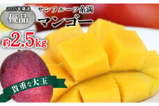 【2025年発送】サンフルーツ糸満マンゴー貴重な大玉 優品　約2.5kg 産地直送 先行予約 フルーツ 果物 くだもの アップルマンゴー アップル アーウィン種 濃厚 デザート 贅沢 旬の果物 甘い おすすめ プレゼント 贈答 冷蔵 国産 沖縄 沖縄県産
