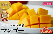 【2025年発送】県知事賞受賞　サンフルーツ糸満　マンゴー秀品　約2kg 産地直送 先行予約 フルーツ 果物 くだもの アップルマンゴー アップル アーウィン種 濃厚 デザート 贅沢 旬の果物 甘い おすすめ プレゼント 贈答 冷蔵 国産 沖縄 沖縄県産