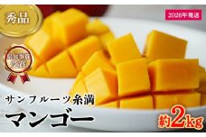 【2026年発送】県知事賞受賞　サンフルーツ糸満　マンゴー秀品　約2kg 産地直送 先行予約 フルーツ 果物 くだもの アップルマンゴー アップル アーウィン種 濃厚 デザート 贅沢 旬の果物 甘い おすすめ プレゼント 贈答 冷蔵 国産 沖縄 沖縄県産