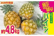 【2026年発送】訳ありパイン 4～8玉 約4.8kg（ボゴールパイン） パイン パイナップル ぱいなっぷる ボゴール 訳あり 訳アリ 不揃い 家庭用 国産パイン パインアップル スナック ちぎって食べる 夏限定 トロピカル ジューシー フレッシュ 南国 フルーツ 沖縄 宜野座村