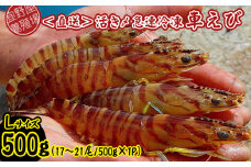 【養殖場から直送】活き〆急速冷凍車えび　Lサイズ　約500g（17～21尾/500g×1P） 車海老 海鮮 魚介類 海産物 シーフード お取り寄せ 美味 料理 クルマエビ くるまえび 塩焼き フライ 天丼 お刺身 フリット 蝦 ゆで 送料無料 沖縄県産 たまや