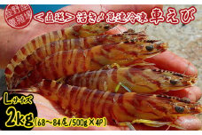 【養殖場から直送】活き〆急速冷凍車えび　Lサイズ　約2kg（68～84尾/500g×4P） 車海老 海鮮 魚介類 海産物 シーフード お取り寄せ 美味 料理 クルマエビ くるまえび 塩焼き フライ 天丼 お刺身 フリット 蝦 ゆで 送料無料 沖縄県産 たまや