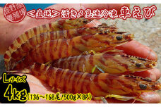 【養殖場から直送】活き〆急速冷凍車えび　Lサイズ　約4kg（136～168尾/500g×8P） 車海老 海鮮 魚介類 海産物 シーフード お取り寄せ 美味 料理 クルマエビ くるまえび 塩焼き フライ 天丼 お刺身 フリット 蝦 ゆで 送料無料 沖縄県産 たまや