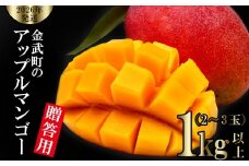 【2026年発送】金武町のアップルマンゴー◆贈答用◆1kg以上（2～3玉） アーウィン 果物 甘い 夏 濃厚 ギフト Mango ランキング 完熟 お気に入り 収穫 人気 甘味 フルーツ 沖縄県 先行予約 食品 デザート 産地直送 送料無料