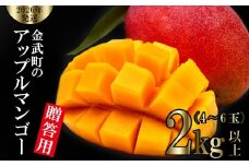 【2026年発送】金武町のアップルマンゴー◆贈答用◆2kg以上（4～6玉） アーウィン 果物 甘い 夏 濃厚 ギフト Mango ランキング 完熟 お気に入り 収穫 人気 甘味 フルーツ 沖縄県 先行予約 食品 デザート 産地直送 送料無料