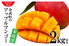 【2025年発送】農家さん直送！アップルマンゴー2kg以上　家庭用 アーウィン 果物 甘い 夏 濃厚 ギフト Mango ランキング 完熟 お気に入り 収穫 人気 甘味 フルーツ 沖縄県 先行予約 食品 デザート 産地直送 送料無料