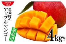 【2025年発送】農家さん直送！アップルマンゴー4kg以上　家庭用 アーウィン 果物 甘い 夏 濃厚 ギフト Mango ランキング 完熟 お気に入り 収穫 人気 甘味 フルーツ 沖縄県 先行予約 食品 デザート 産地直送 送料無料