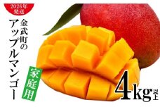 【2026年発送】農家さん直送！アップルマンゴー4kg以上　家庭用 アーウィン 果物 甘い 夏 濃厚 ギフト Mango ランキング 完熟 お気に入り 収穫 人気 甘味 フルーツ 沖縄県 先行予約 食品 デザート 産地直送 送料無料