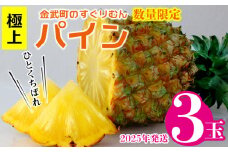 2025年発送【数量限定】ひとくちぼれ　金武町のすぐりむん（極上）パイン　3玉 パイナップル ぱいなっぷる パインアップル ぱいんあっぷる 沖縄県 国産 送料無料 ギフト グルメ 祝 贈答品 贈り物 プレゼント 女子会 土産 お取り寄せ フルーツ 果物 トロピカル 夏