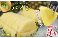 2026年発送【数量限定】ひとくちぼれ 金武町のすぐりむん（極上）パイン 3玉 パイナップル ぱいなっぷる パインアップル ぱいんあっぷる 国産 ギフト ボゴール スナック パイン 夏 贈答品 贈り物 プレゼント フレッシュ 土産 お取り寄せ フルーツ 果物 沖縄 金武町