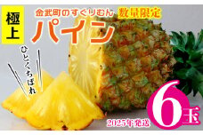 2025年発送【数量限定】ひとくちぼれ　金武町のすぐりむん（極上）パイン　6玉 パイナップル ぱいなっぷる パインアップル ぱいんあっぷる 沖縄県 国産 送料無料 ギフト グルメ 祝 贈答品 贈り物 プレゼント 女子会 土産 お取り寄せ フルーツ 果物 トロピカル 夏