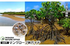 自然を満喫！　金武町マングローブ林ガイド