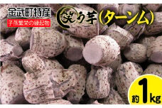 金武町特産「笑う芋」田芋（ターンム） 伝統食材 美味しい 自然 風味 地産 特産品 国産 料理 和食 お気に入り 美味しい ヘルシー 地元愛 懐かしさ 沖縄県 丁寧な栽培 食品 人気 産地直送 送料無料